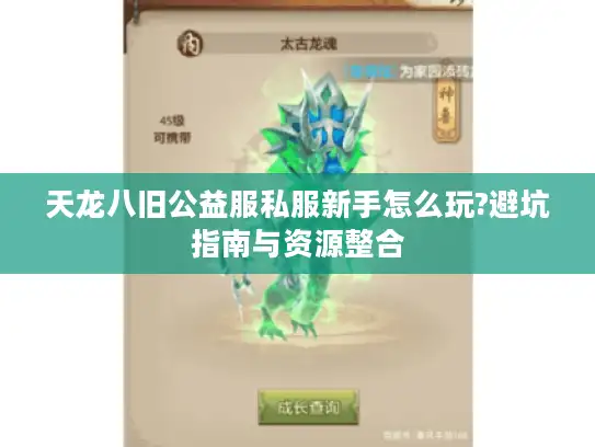 天龙八旧公益服私服新手怎么玩?避坑指南与资源整合 天龙八旧公益服私服新手怎么玩?避坑指南与资源整合