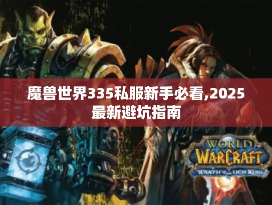 魔兽世界335私服新手必看,2025最新避坑指南