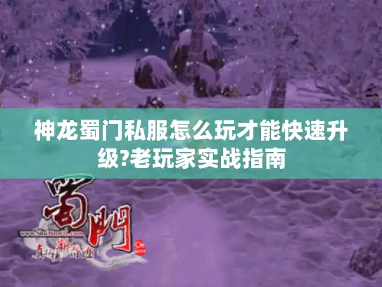 神龙蜀门私服怎么玩才能快速升级?老玩家实战指南