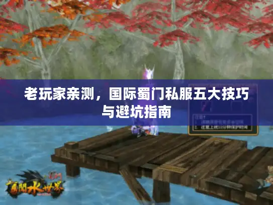 老玩家亲测，国际蜀门私服五大技巧与避坑指南