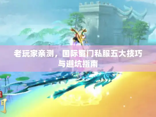 老玩家亲测，国际蜀门私服五大技巧与避坑指南