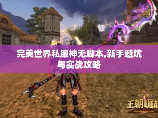 完美世界私服神无脚本,新手避坑与实战攻略