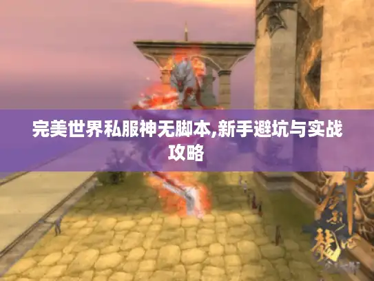 完美世界私服神无脚本,新手避坑与实战攻略