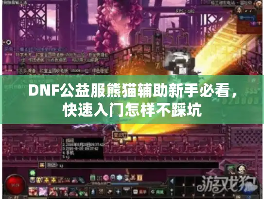 DNF公益服熊猫辅助新手必看,快速入门怎样不踩坑 DNF公益服熊猫辅助新手必看,快速入门怎样不踩坑