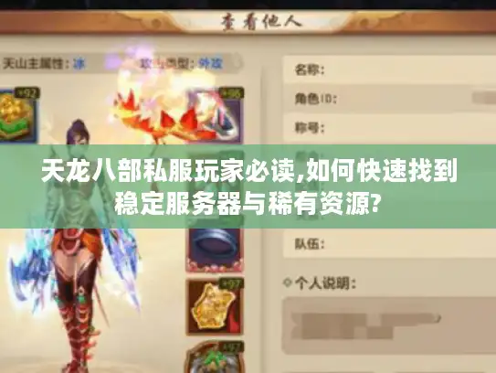 天龙八部私服玩家必读,如何快速找到稳定服务器与稀有资源?