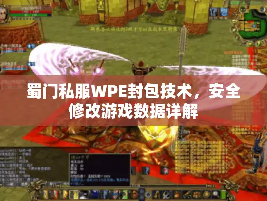 蜀门私服WPE封包技术，安全修改游戏数据详解