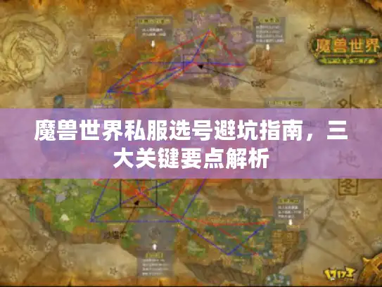 魔兽世界私服选号避坑指南，三大关键要点解析