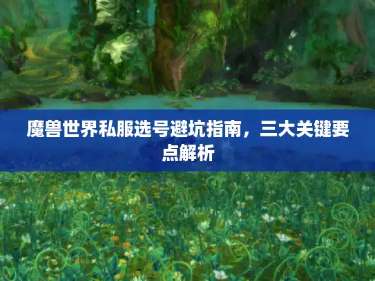 魔兽世界私服选号避坑指南，三大关键要点解析