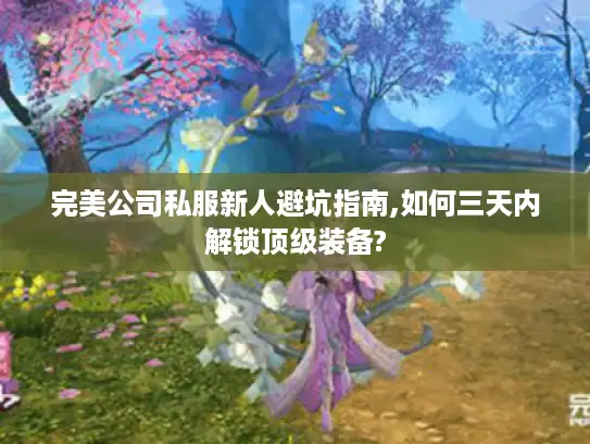 完美公司私服新人避坑指南,如何三天内解锁顶级装备?