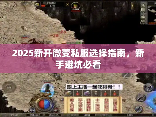 2025新开微变私服选择指南，新手避坑必看