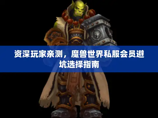 资深玩家亲测，魔兽世界私服会员避坑选择指南