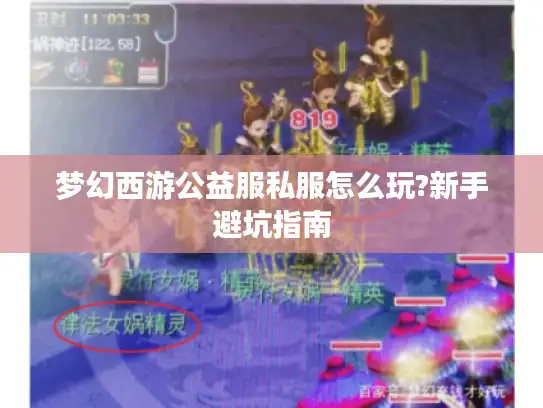 梦幻西游公益服私服怎么玩?新手避坑指南