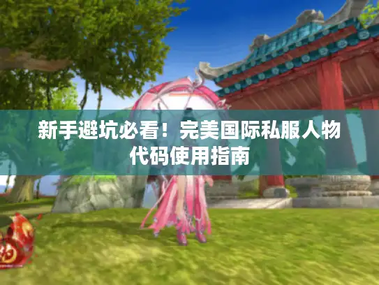 新手避坑必看！完美国际私服人物代码使用指南