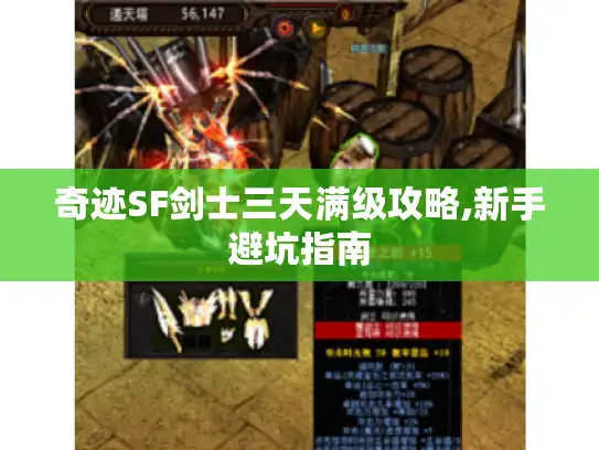 奇迹SF剑士三天满级攻略,新手避坑指南
