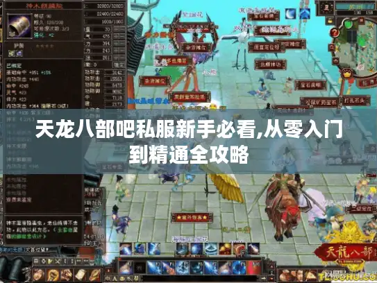 天龙八部吧私服新手必看,从零入门到精通全攻略