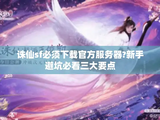 诛仙sf必须下载官方服务器?新手避坑必看三大要点