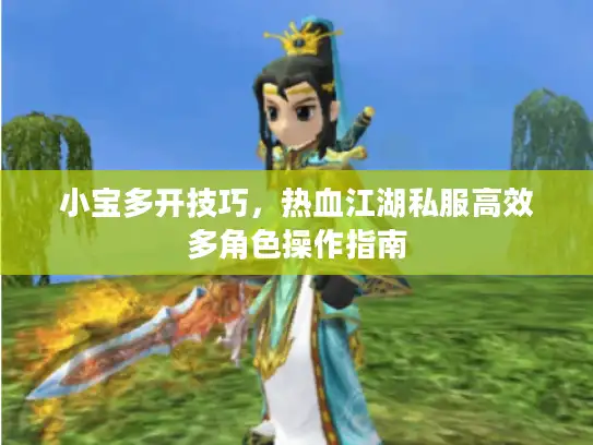 小宝多开技巧，热血江湖私服高效多角色操作指南