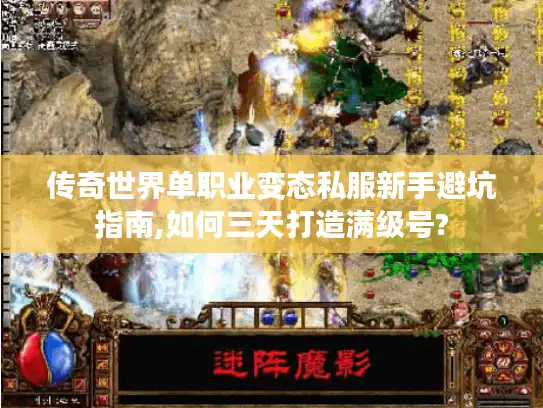 传奇世界单职业变态私服新手避坑指南,如何三天打造满级号? 传奇世界单职业变态私服新手避坑指南,如何三天打造满级号?