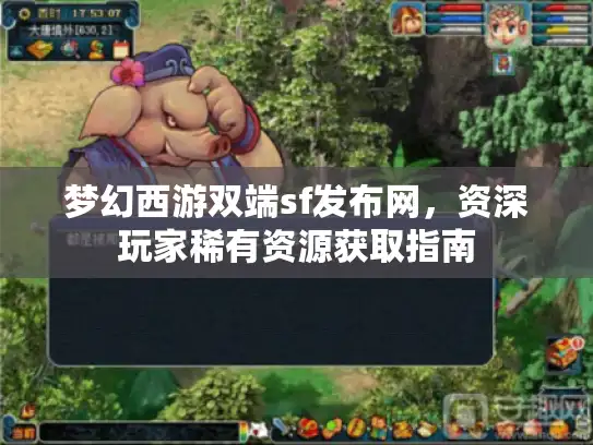 梦幻西游双端sf发布网,资深玩家稀有资源获取指南 梦幻西游双端sf发布网,资深玩家稀有资源获取指南