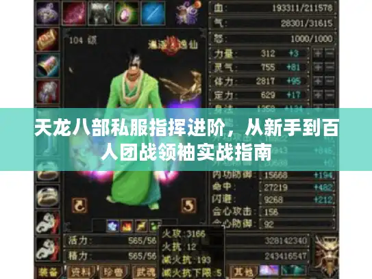 天龙八部私服指挥进阶，从新手到百人团战领袖实战指南
