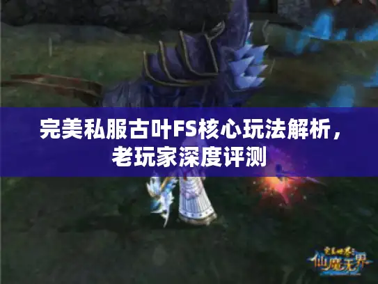 完美私服古叶FS核心玩法解析，老玩家深度评测