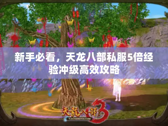 新手必看，天龙八部私服5倍经验冲级高效攻略