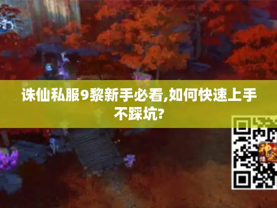 诛仙私服9黎新手必看,如何快速上手不踩坑?