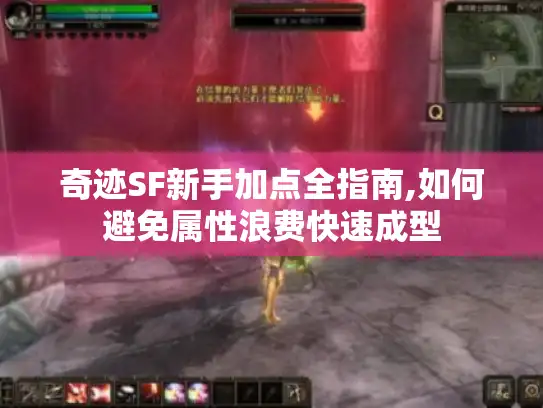 奇迹SF新手加点全指南,如何避免属性浪费快速成型