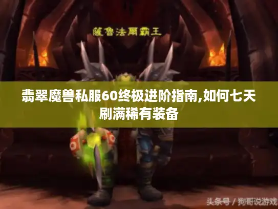 翡翠魔兽私服60终极进阶指南,如何七天刷满稀有装备
