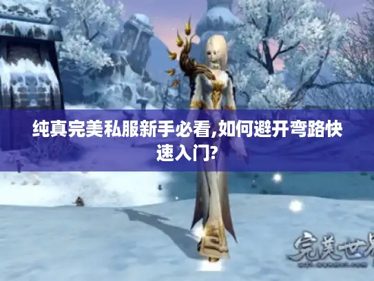 纯真完美私服新手必看,如何避开弯路快速入门?