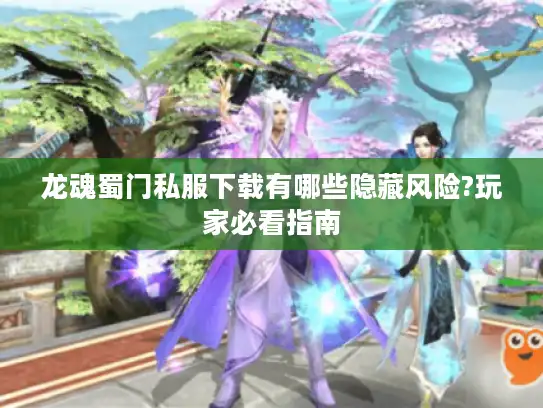 龙魂蜀门私服下载有哪些隐藏风险?玩家必看指南
