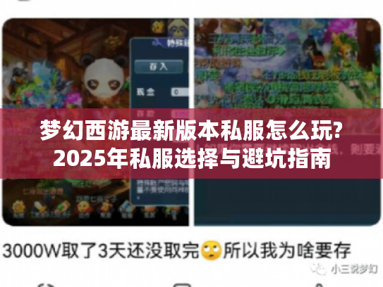 梦幻西游最新版本私服怎么玩?2025年私服选择与避坑指南 梦幻西游最新版本私服怎么玩?2025年私服选择与避坑指南