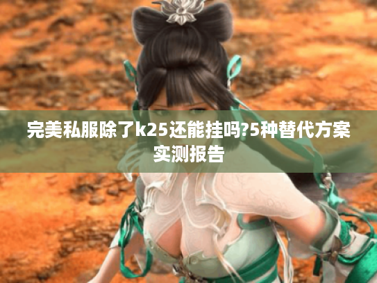 完美私服除了k25还能挂吗?5种替代方案实测报告