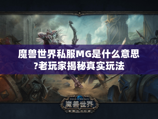魔兽世界私服MG是什么意思?老玩家揭秘真实玩法 魔兽世界私服MG是什么意思?老玩家揭秘真实玩法