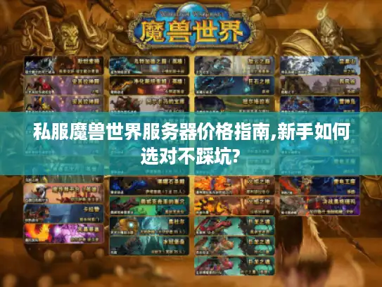 私服魔兽世界服务器价格指南,新手如何选对不踩坑?