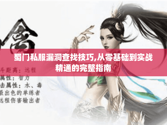 蜀门私服漏洞查找技巧,从零基础到实战精通的完整指南