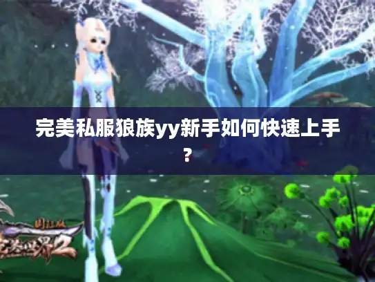 完美私服狼族yy新手如何快速上手?
