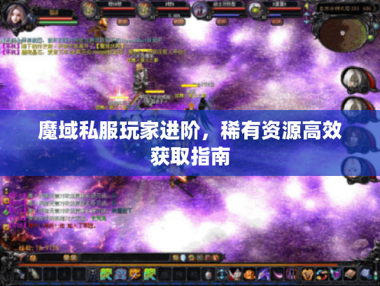 魔域私服玩家进阶,稀有资源高效获取指南 魔域私服玩家进阶,稀有资源高效获取指南