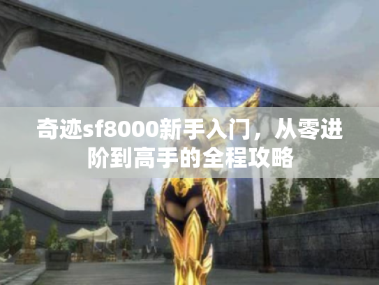 奇迹sf8000新手入门，从零进阶到高手的全程攻略