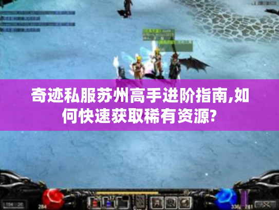 奇迹私服苏州高手进阶指南,如何快速获取稀有资源?