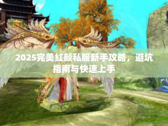 2025完美红颜私服新手攻略，避坑指南与快速上手