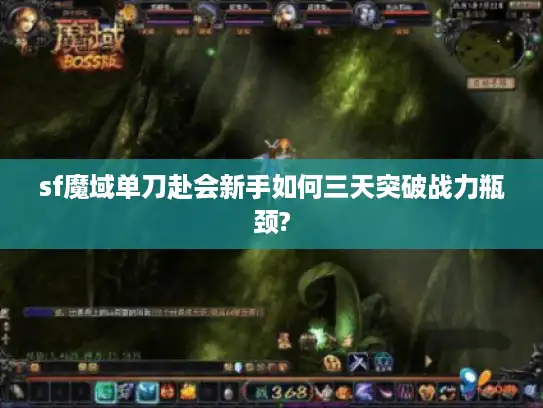 sf魔域单刀赴会新手如何三天突破战力瓶颈?