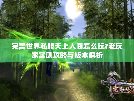 完美世界私服天上人间怎么玩?老玩家实测攻略与版本解析