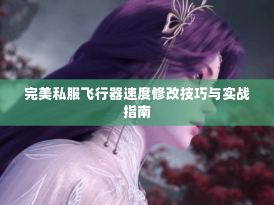 完美私服飞行器速度修改技巧与实战指南