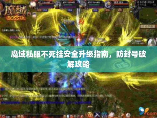 魔域私服不死挂安全升级指南，防封号破解攻略