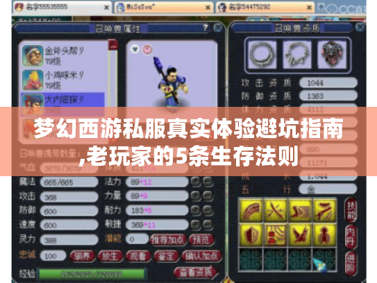 梦幻西游私服真实体验避坑指南,老玩家的5条生存法则
