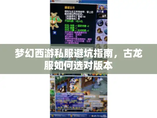 梦幻西游私服避坑指南，古龙服如何选对版本