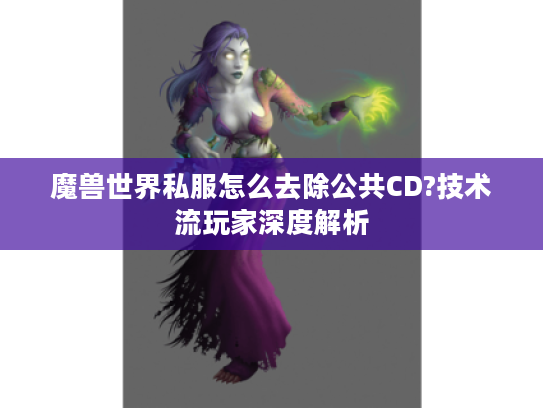 魔兽世界私服怎么去除公共CD?技术流玩家深度解析