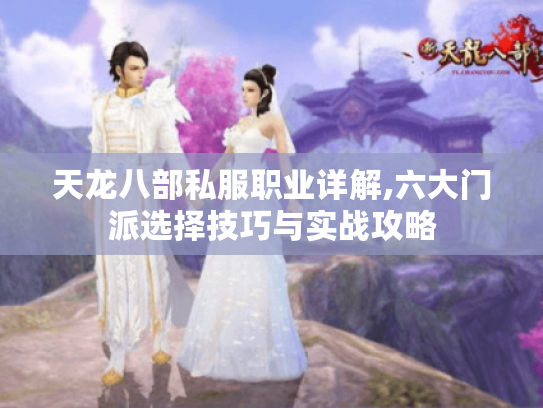 天龙八部私服职业详解,六大门派选择技巧与实战攻略 天龙八部私服职业详解,六大门派选择技巧与实战攻略