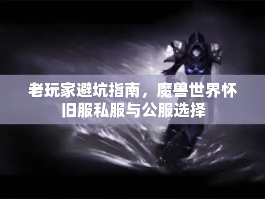 老玩家避坑指南，魔兽世界怀旧服私服与公服选择
